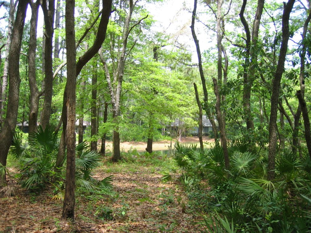 Walking into the CC lot ... there is a lagoon in the sunlight, with houses across the way